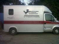 Mustang Equine Transport 247691 Image 4